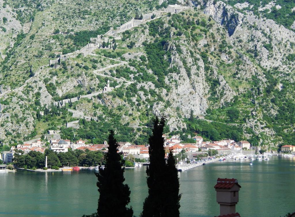 Apartments Panorama Kotor Værelse billede